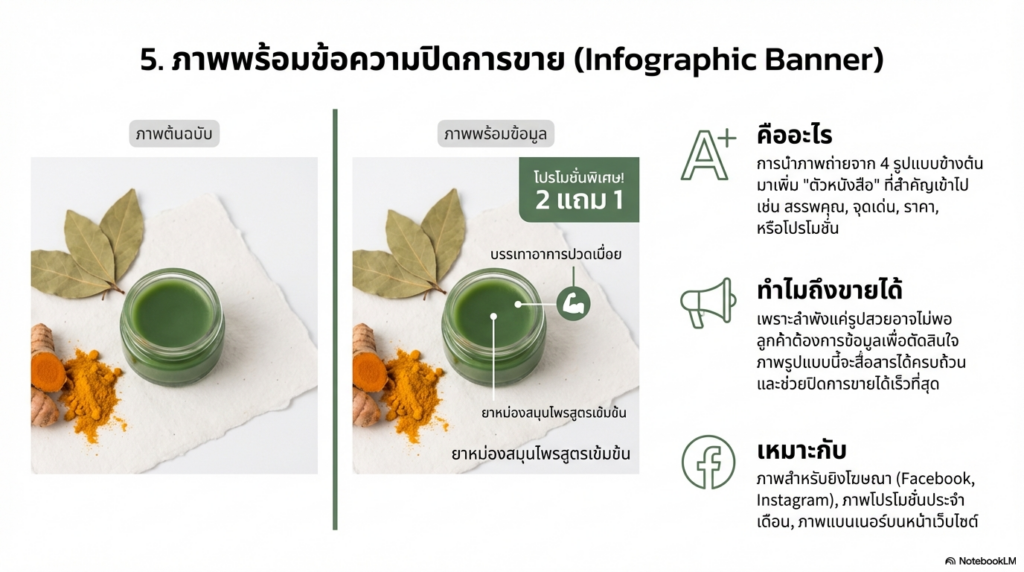 Infographic สไตล์สมจริง พื้นหลังสีขาว ตัวอักษรชัดเจน เหมาะกับผู้สูงอายุ