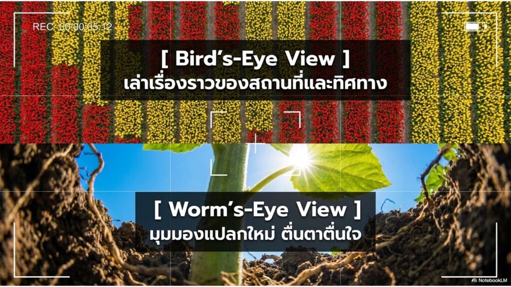 สร้างสไลด์สไตล์สมจริง แนะนำมุมมองการถ่ายภาพขนาดตัวอักษร 30pt ความละเอีย 300dpi ภาษาเหมาะกับนักเรียนมัธยมปลาย เน้นตัวอย่างเป็นวัตถุ หรือดอกไม้
